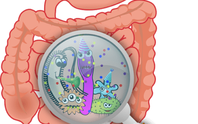 SIndrome de permeabilidad intestinal. La explicación a muchas de las enfermedades actuales