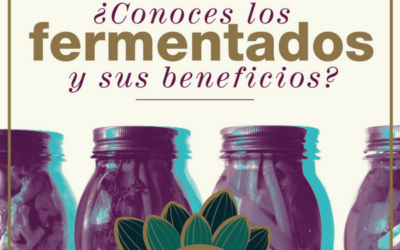 Mejora tu salud intestinal con los alimentos fermentados