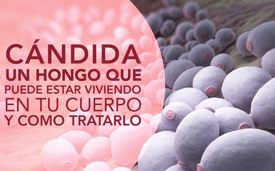 CÁNDIDA UN HONGO QUE PUEDE ESTAR VIVIENDO EN TU CUERPO Y COMO TRATARLO