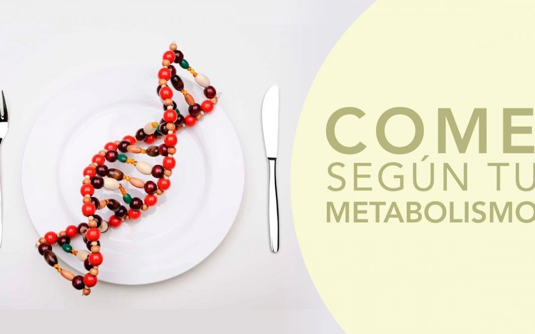 🍽 Come según tu tipo de metabolismo